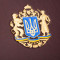 Елітний набір для віскі Герб України 6 склянок та графин B5101652