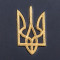 Елітний шкіряний щоденник А4 з Тризубом B5101741