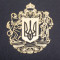 Элитный ежедневник кожаный с Трезубцем B5101849