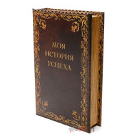 Книга сейф История успеха B030148