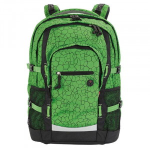 Підлітковий рюкзак Frog для хлопчика 33x20x47 см. Німеччина BST 690054