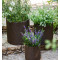 Вазон для рослин вуличний для тераси B590564 9 к. с. коричневий Ізраїль