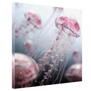 Фотокартина на полотні Медузи 65*65*2 см. B1241848