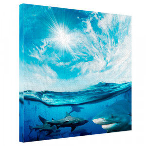 Полноцветная картина на холсте Акулы 65*65*2 см. B1241862