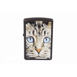 Зажигалка Zippo 28040 Blue Eyed Cat черная B670186