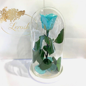 Стабілізована троянда Lerosh B830108 під скляним куполом бірюзова 27 см.