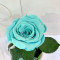 Стабілізована троянда Lerosh B830108 під скляним куполом бірюзова 27 см.