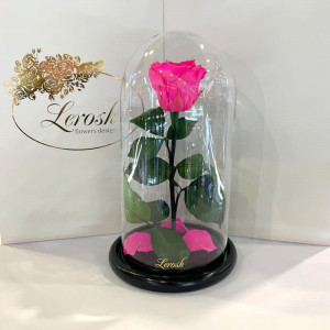 Роза в колбе B830144 под стеклянным куполом ярко-розовая фуксия 27 см. 