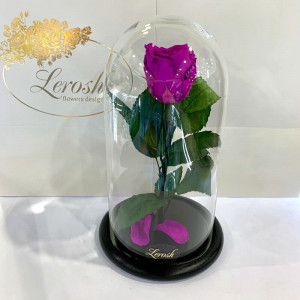 Стабилизированная роза B830142 Lerosh под стеклянным куполом фиолетовая 27 см. 