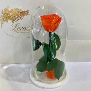 Стабілізована троянда 27 см у колбі B830137 оранжева