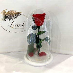 Стабилизированная роза 27 см в колбе B830132 Lerosh на белой подставке красная
