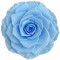 Стабілізована троянда B830110 у колбі блакитна 27 см