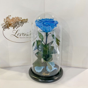 Стабілізована троянда B830110 у колбі блакитна 27 см