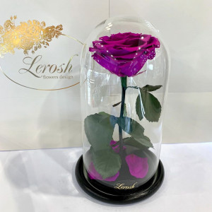 Стабилизированная роза B830128 Lerosh под стеклянным куполом фиолетовая 27 см. 