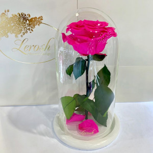 Стабілізована троянда B830130 у колбі яскраво-рожева фуксія на білій підставці 27 см.