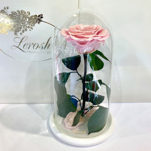 Роза стабилизированная B830120 Lerosh под стеклянным куполом розовая жемчужная 27 см. 
