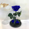 Стабілізована троянда Lerosh B830124 під скляним куполом синя 27 див.