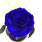 Стабілізована троянда Lerosh B830124 під скляним куполом синя 27 див.