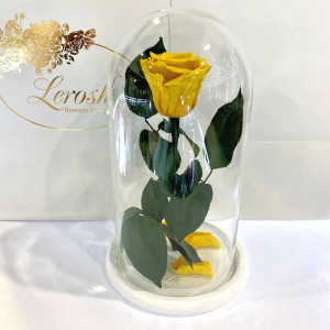 Троянда стабілізована B830147 Lerosh під скляним куполом жовта 27 см.