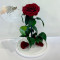 Троянда в скляній колбі B830152 бордово-малинова 33 см
