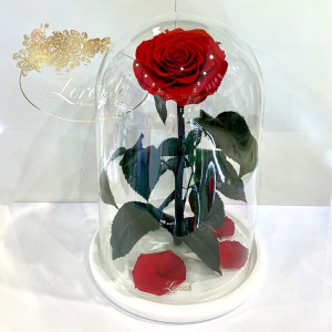 Вечная роза в колбе B830173 на белой подставке красная 33 см