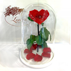 Стабилизированная роза B830176 в колбе в форме сердца на белой подставке красная 33 см