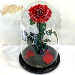 Троянда в колбі стабілізована B830156 Lerosh червона блискуча 33 см.