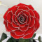 Троянда в колбі стабілізована B830156 Lerosh червона блискуча 33 см.