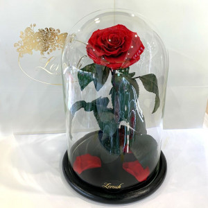 Роза в колбе B830157 красная бриллиантовая 33 см