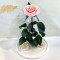 Троянда в колбі 33 см B830165 Lerosh рожева перлова