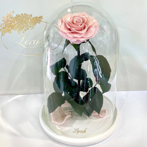 Троянда в колбі 33 см B830165 Lerosh рожева перлова