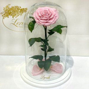 Стабилизированная роза в колбе 33 см B830166 розовая