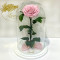 Стабілізована троянда в колбі 33 см B830166 рожева