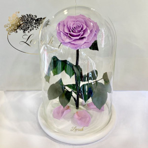 Стабилизированная роза в колбе на белой подставке лиловая 33 см B830174