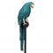 Статуетка Папуга Грін B030832 зелений 17x118 см.