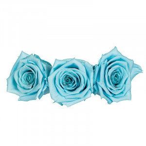 Стабилизированная роза бутон 8 шт голубая 24x13x7,5 см B0301671